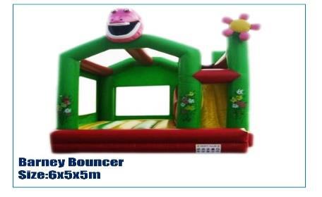 Barney Bouncer Combo