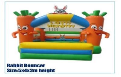 Rabbit Bouncy