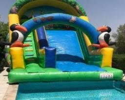 Animal Slide for Pool