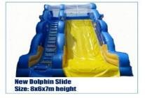 New Dolphin Slide