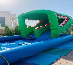 Crocodile Water Slide