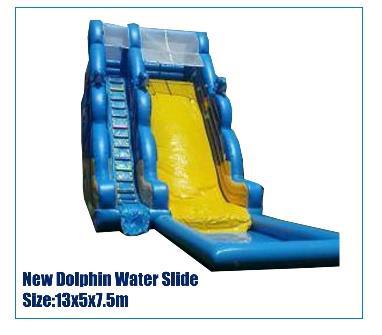 Dolphin Slide for Pool