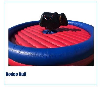 Rodeo Bull